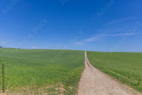 Spring landscape. Green fields and meadows with blue sky and white clouds.