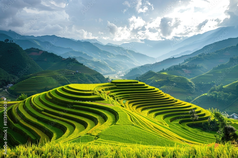 Scenic view of green field with distant mountain, perfect for nature backgrounds Scenic view of green field with distant mountain, perfect for nature backgrounds