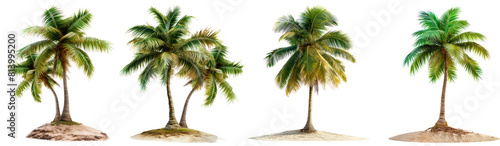 Set of palm trees on a small islands isolated on a white or transparent background. Close-up of a palm trees on the island. A trees on an island as a symbol of loneliness and isolation.