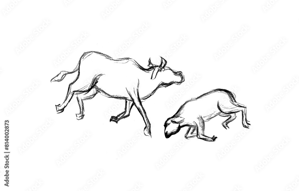 Obraz premium Pencil drawing. 5 Egyptian plague. Pestilence of livestock