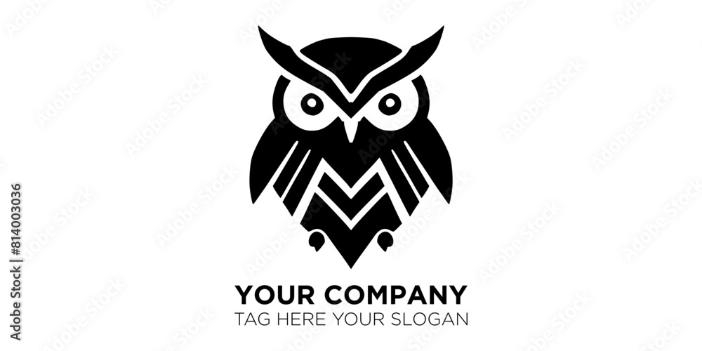 owl owl