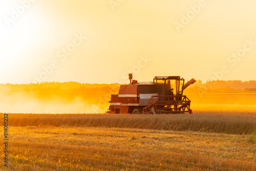 Agricultural harvester harvesting in the field at sunset. A combine harvester works on a field at sunset. Agricultural landscape