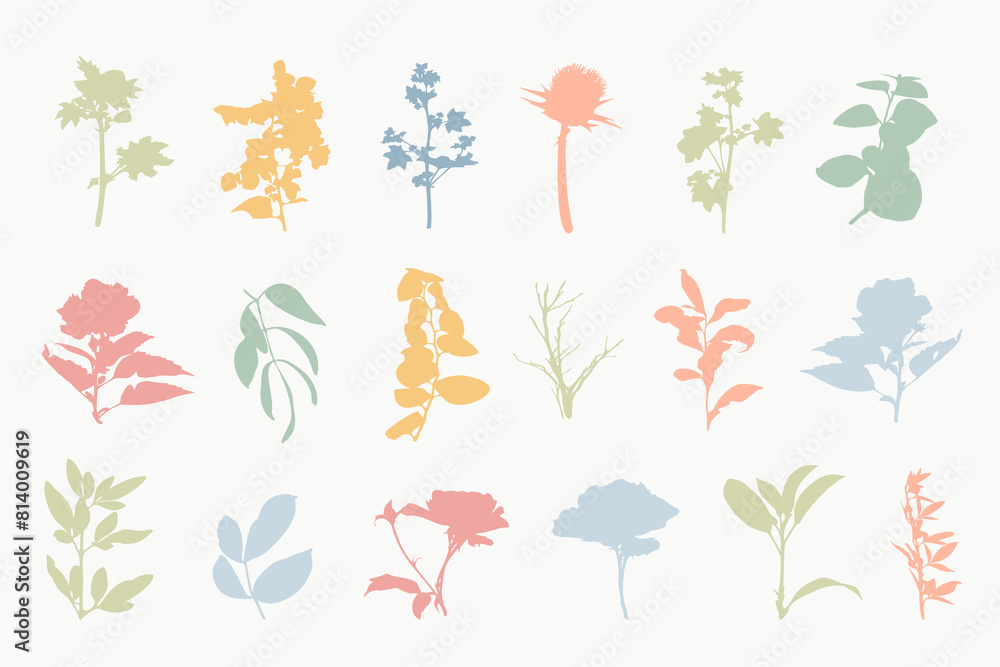 Botanical Floral Silhouettes Set Hand Drawn Plants Botanical Floral Silhouettes Set Hand Drawn Plants