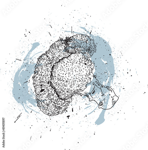 Hand-drawn broccoli illustration with ink splatters, fresh vegetable vector