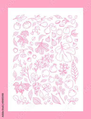 pink linear illustration of different Garden Fruits, leaves, tree branches on white