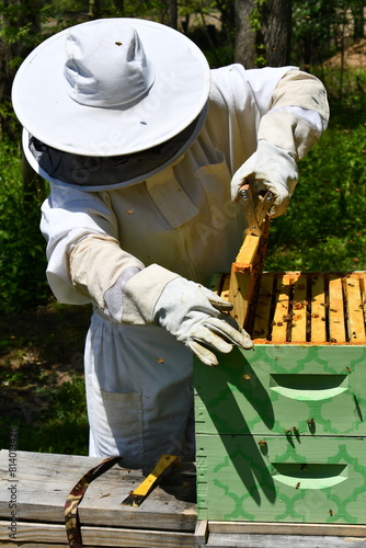 Bee Keeper