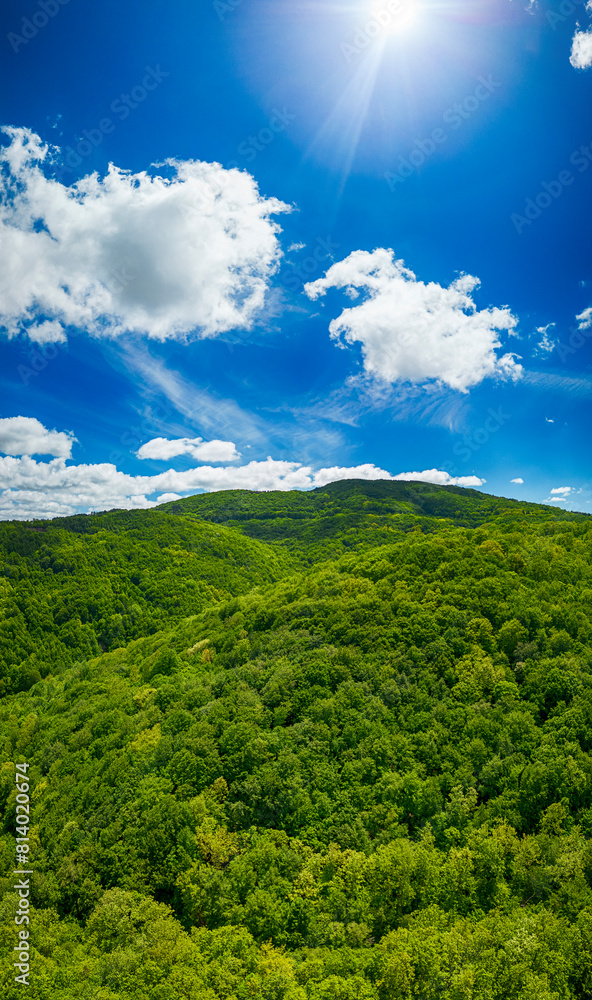 Obraz premium Aerial view of Strandzha mountains in Bulgaria 