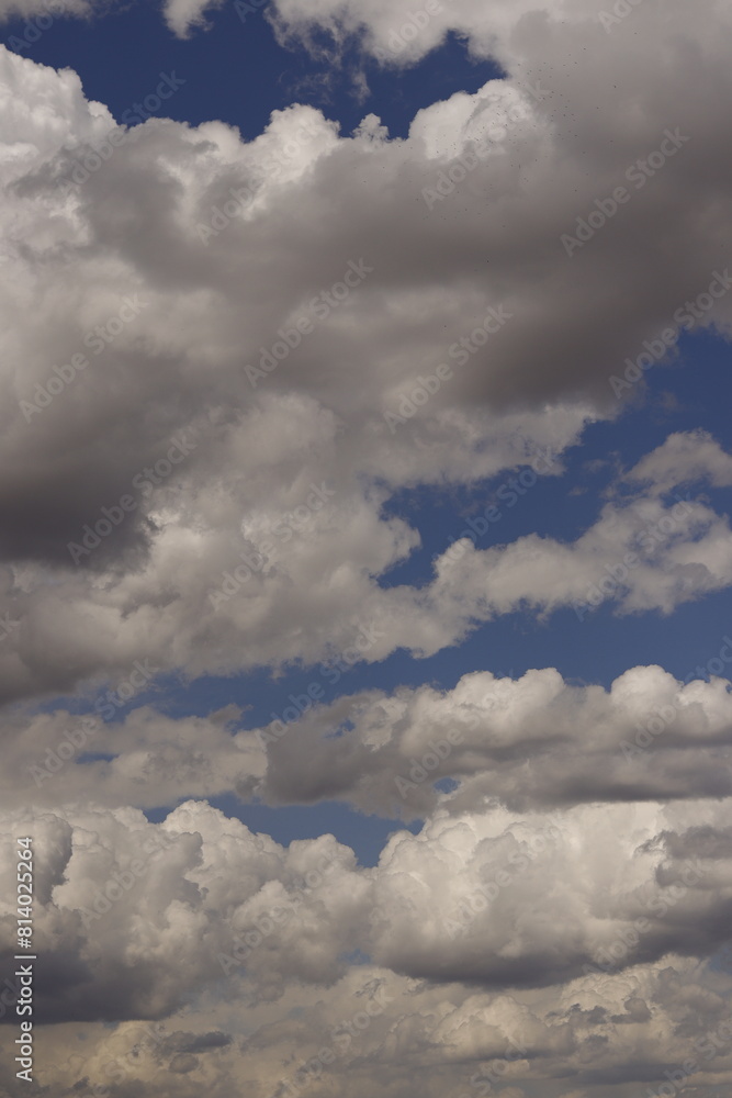 VARIOS TIPOS DE NUBES PRIMAVERA VARIOS TIPOS DE NUBES PRIMAVERA