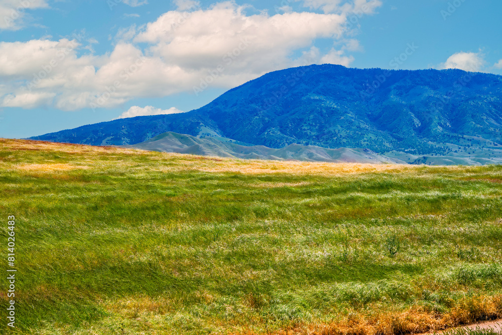 Fototapeta premium Green and golden pastures with mountains beyond.