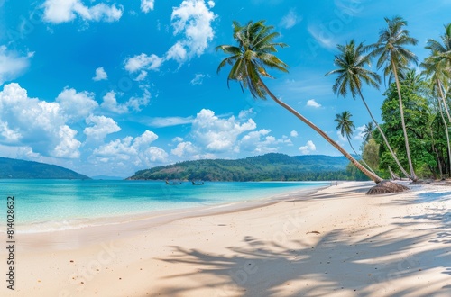 A serene beach landscape with sandy shore  coconut palms  and a clear blue sky  perfect for themes of travel and tropical holidays.