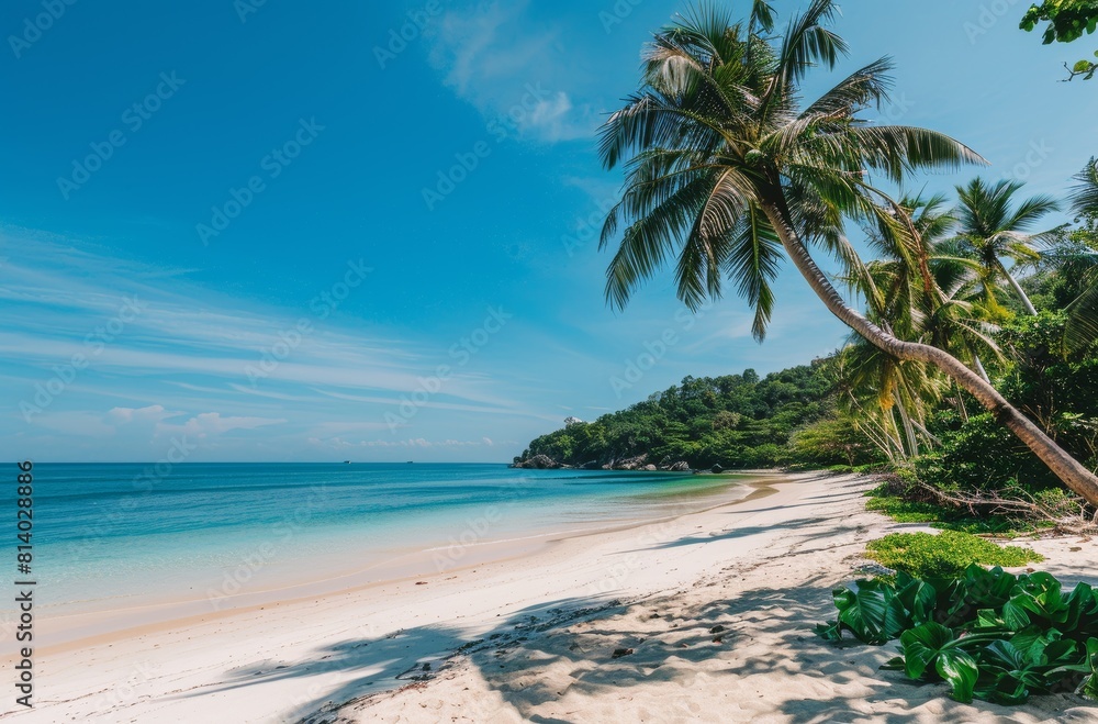 A peaceful tropical beach view with palm tree shadows cast across the white sand, leading to the turquoise waters, ideal for relaxation and vacation themes.