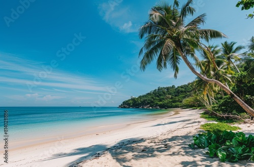 A peaceful tropical beach view with palm tree shadows cast across the white sand  leading to the turquoise waters  ideal for relaxation and vacation themes.