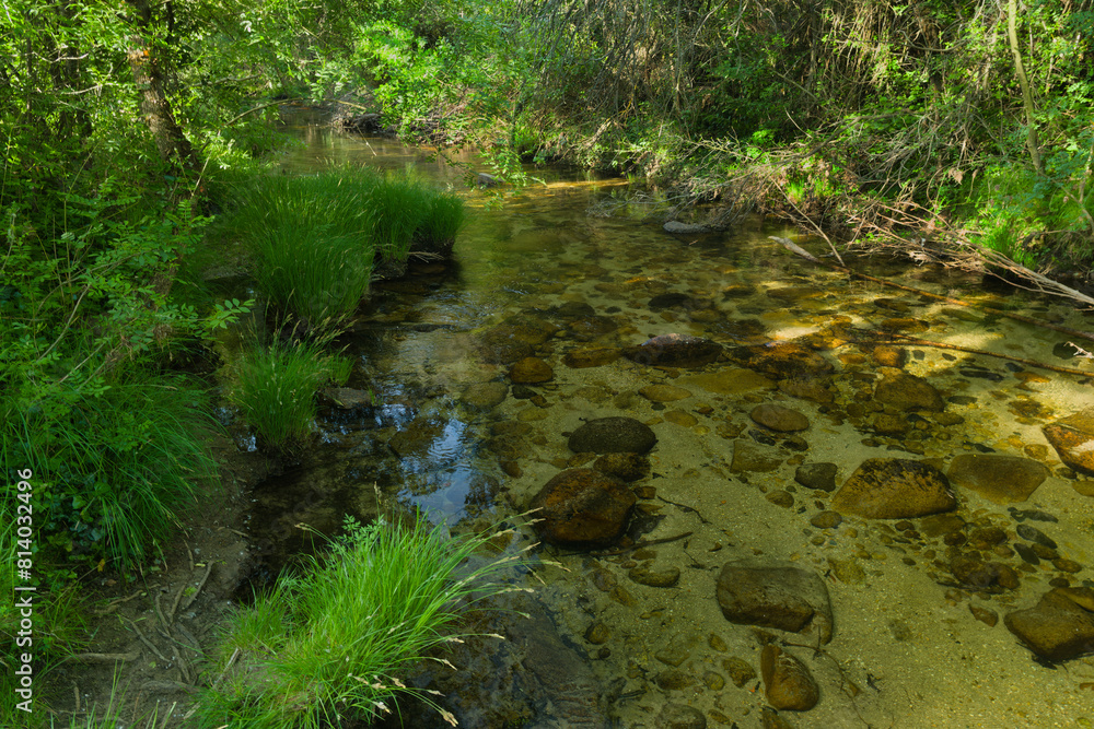 landscape, view, nature, plants, water, stream, mountain, flora, landscape, view, nature, plants, water, stream, mountain, flora,