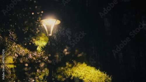 In the middle of the night rain, a lantern shines brightly, illuminating the city park. A lamppost with a lamp throws light into the darkness. A night lantern illuminates a rainy park with its rays photo