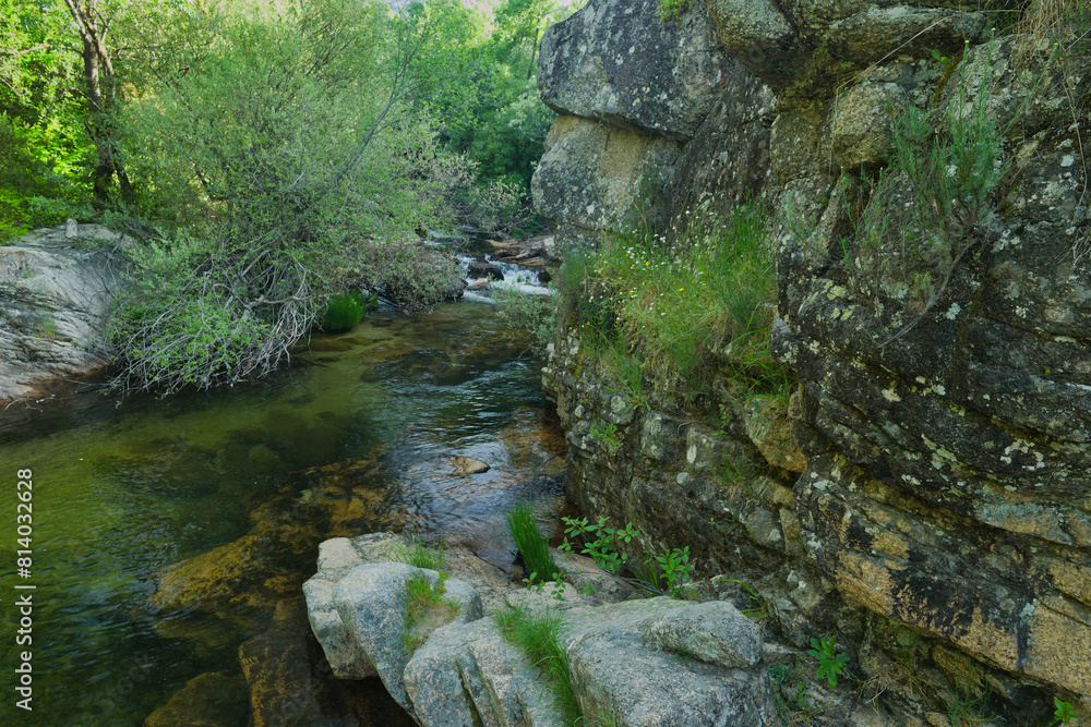 landscape, view, nature, plants, water, stream, mountain, flora, landscape, view, nature, plants, water, stream, mountain, flora,