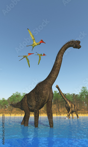 Brachiosaurus Titanic Dinosaur - Three Pterosaurs fly over two Brachiosaurus dinosaurs wading across a river during the Jurassic Period.