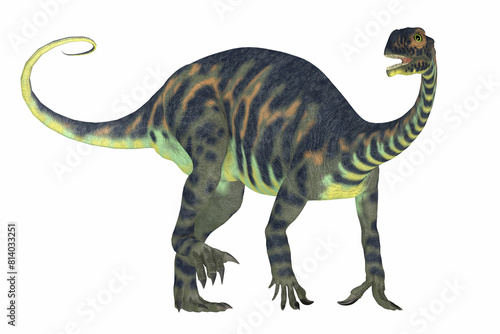 Fototapeta Naklejka Na Ścianę i Meble -  Cute Massospondylus Dinosaur - Massospondylus was a prosauropod dinosaur from the Jurassic Age of Africa and was a herbivore.