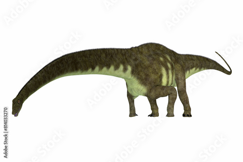 Mamenchisaurus hochuanensis Eating - Mamenchisaurus was a herbivorous sauropod dinosaur that lived in the Jurassic Period of China.