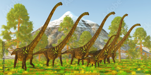 Mamenchisaurus Sauropod Dinosaur Herd - Mamenchisaurus was a plant-eating sauropod dinosaur from the late Jurassic Period of China. photo