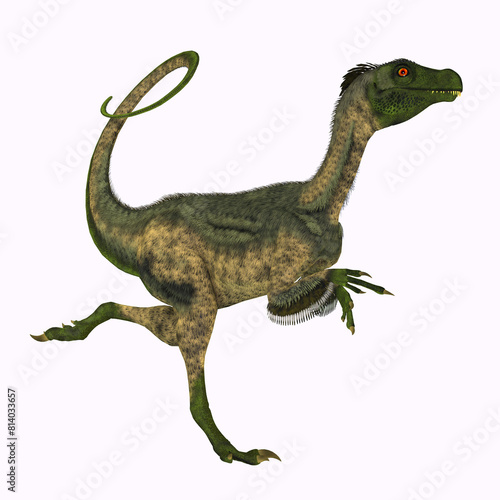 Ornitholestes Dinosaur Running - Ornitholestes was a small carnivorous dinosaur that lived in the Jurassic Period of Western Laurasia which is now North America.