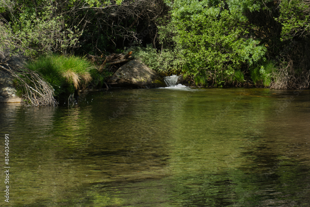 landscape, view, nature, plants, water, stream, mountain, flora, landscape, view, nature, plants, water, stream, mountain, flora,