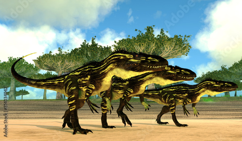 Torvosaurus Dinosaurs on the Hunt - Torvosaurus theropod dinosaurs pass a grove of Dragon Blood trees on their search for prey to hunt.