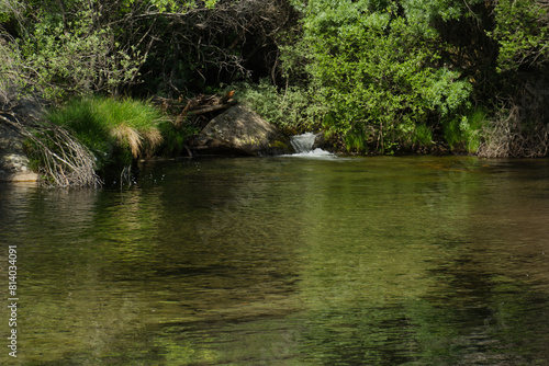 landscape, view, nature, plants, water, stream, mountain, flora,
