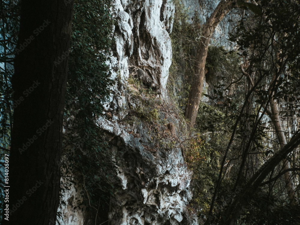 rock cascading over rocky cliff. rock cascading over rocky cliff.