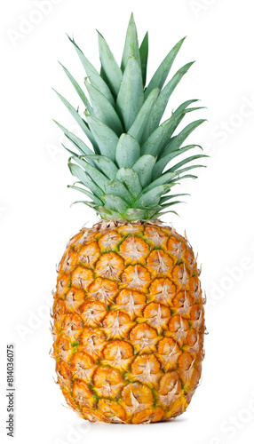 pineapple isolated on white background © Alexstar