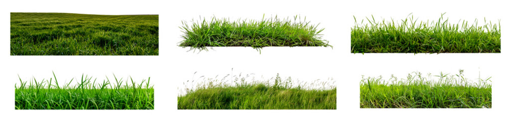 Set of Lush green grass isolated transparent PNG background