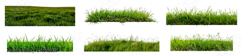 Set of Lush green grass isolated transparent PNG background