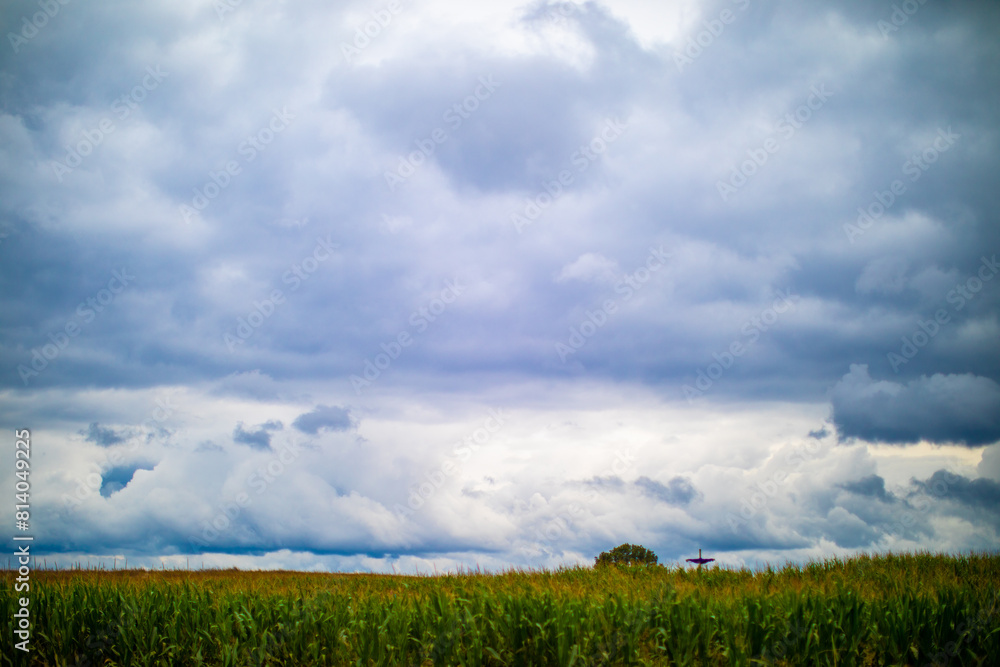 Obraz premium clouds over the field