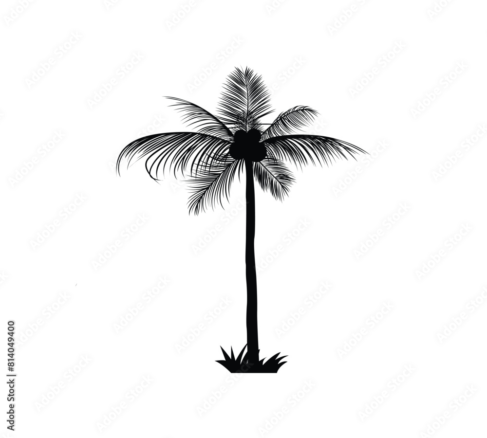 Black single palm tree silhouette icon isolated
