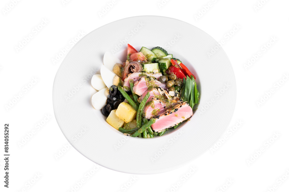 Nicoise Salad, French Dish with Tuna Fillet, Boiled Egg, Anchovies and Vegetables Nicoise Salad, French Dish with Tuna Fillet, Boiled Egg, Anchovies and Vegetables