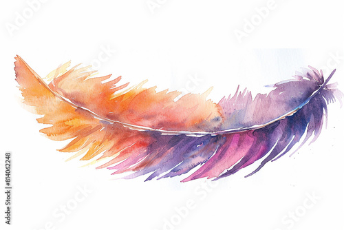 A colorful feather with a purple tip
