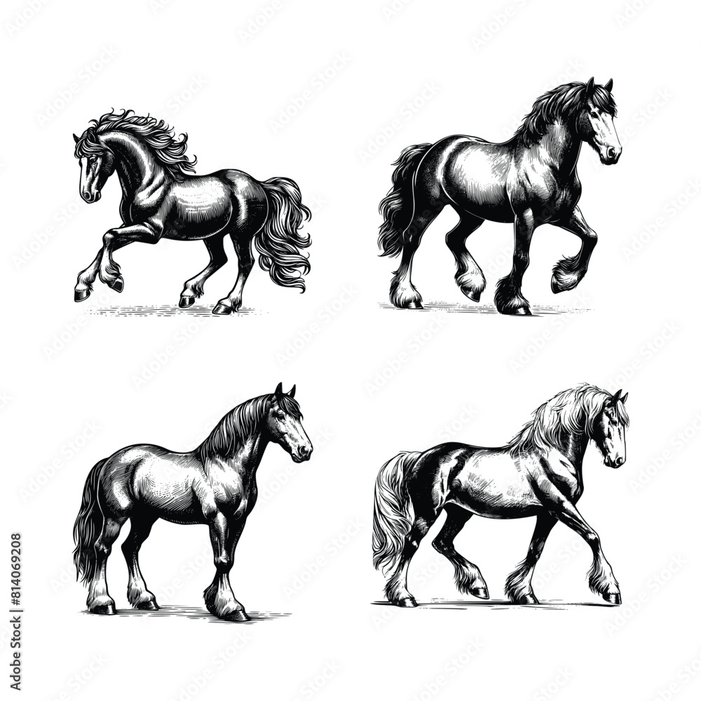 set of horse illustration. hand drawn horse black and white vector illustration. isolated white background