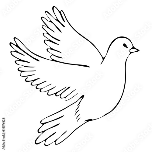 Flying dove. Graphic arts. Vector. Handmade