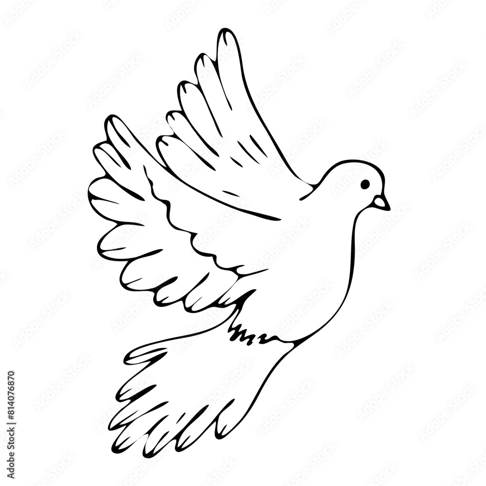First_commBlack and white flying dove. Graphic arts. Vector. Handmadeunion_isolated First_commBlack and white flying dove. Graphic arts. Vector. Handmadeunion_isolated