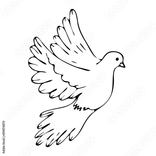 First_commBlack and white flying dove. Graphic arts. Vector. Handmadeunion_isolated
