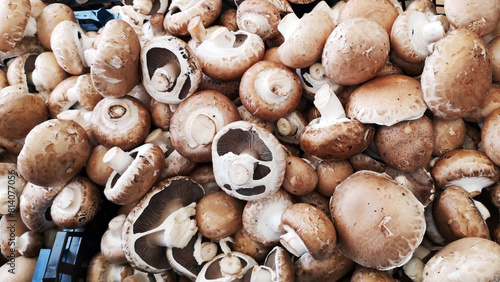 Fresh brown champignons mushrooms