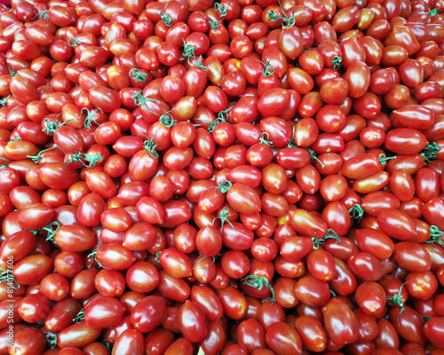 Fresh  red long plum tomatoes