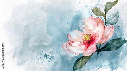 Elegant Watercolor Camellia Bloom with Soft Blue Wash Background
