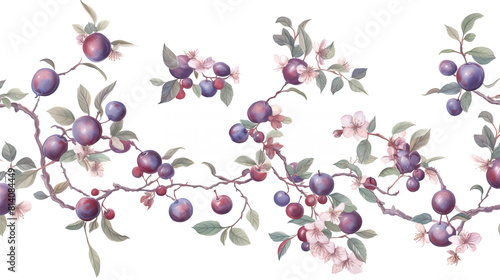 Branch with plums  flowers and leaves. Summer and harvest. Isolated watercolor illustration pattern on white background.