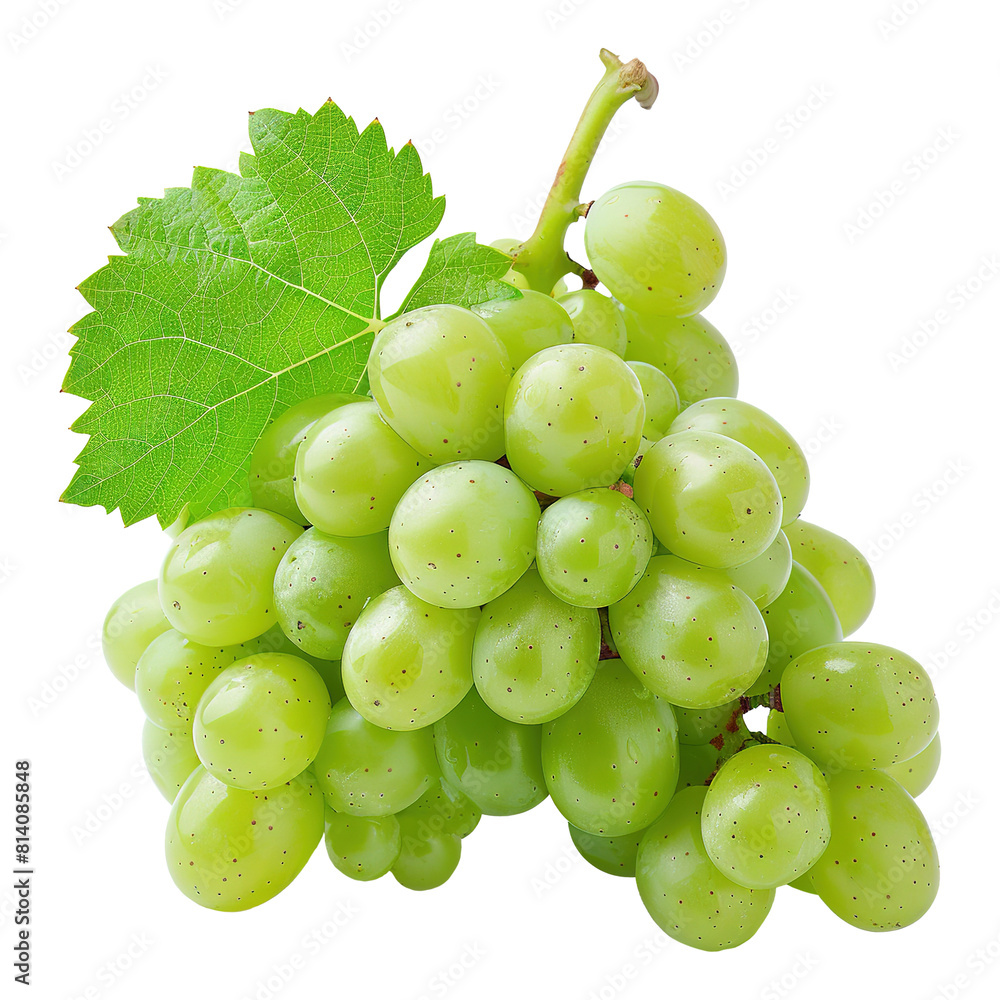 Luscious Green Grapes Cluster with Leaf Luscious Green Grapes Cluster with Leaf