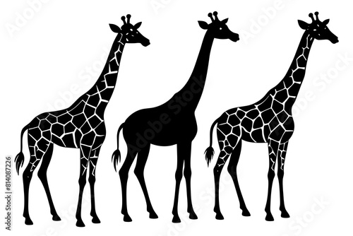  giraffe line art silhouette illustration
