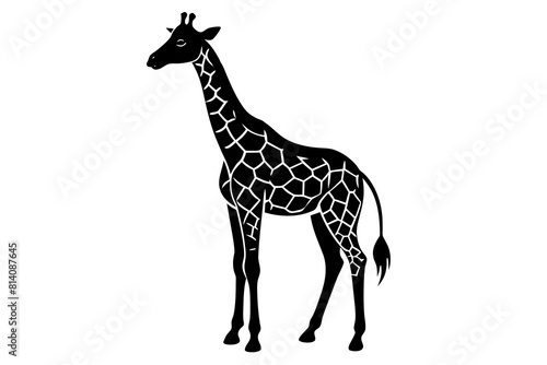 giraffe line art silhouette illustration