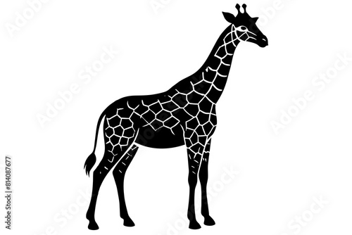 giraffe line art silhouette illustration