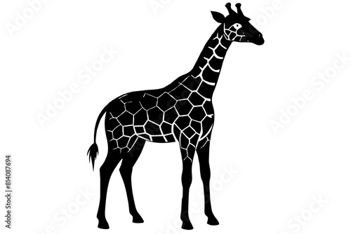 giraffe line art silhouette illustration