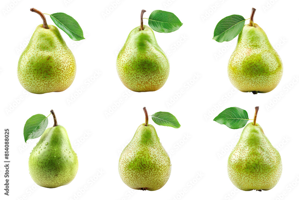 Six Pears with Leaves, Lined Up in a Perfect Row, a Feast for the Eyes Six Pears with Leaves, Lined Up in a Perfect Row, a Feast for the Eyes