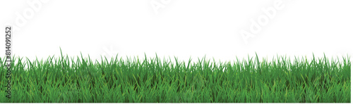 Green Grass Border With Isolated White Background